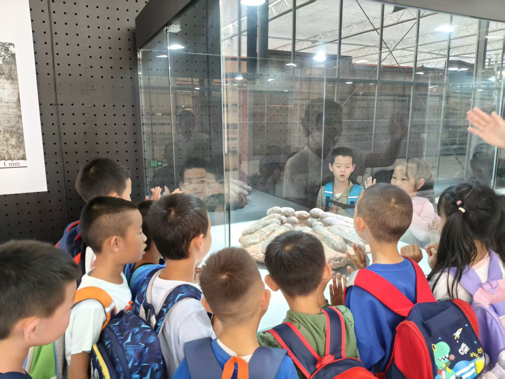 古脊椎所“生命的延续—中国古动物馆馆藏蛋化石精品展”在延庆世园研学基地开幕