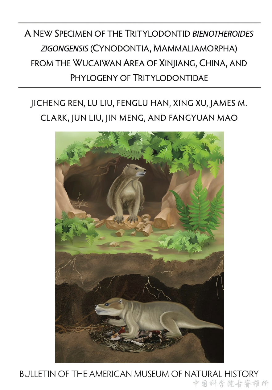 新疆五彩湾自贡似卞氏兽形态学专著