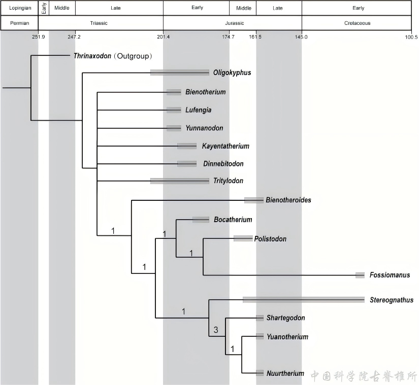 新疆五彩湾自贡似卞氏兽形态学专著