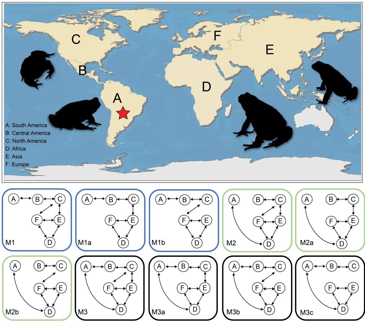 ������ΰ����ִ������������