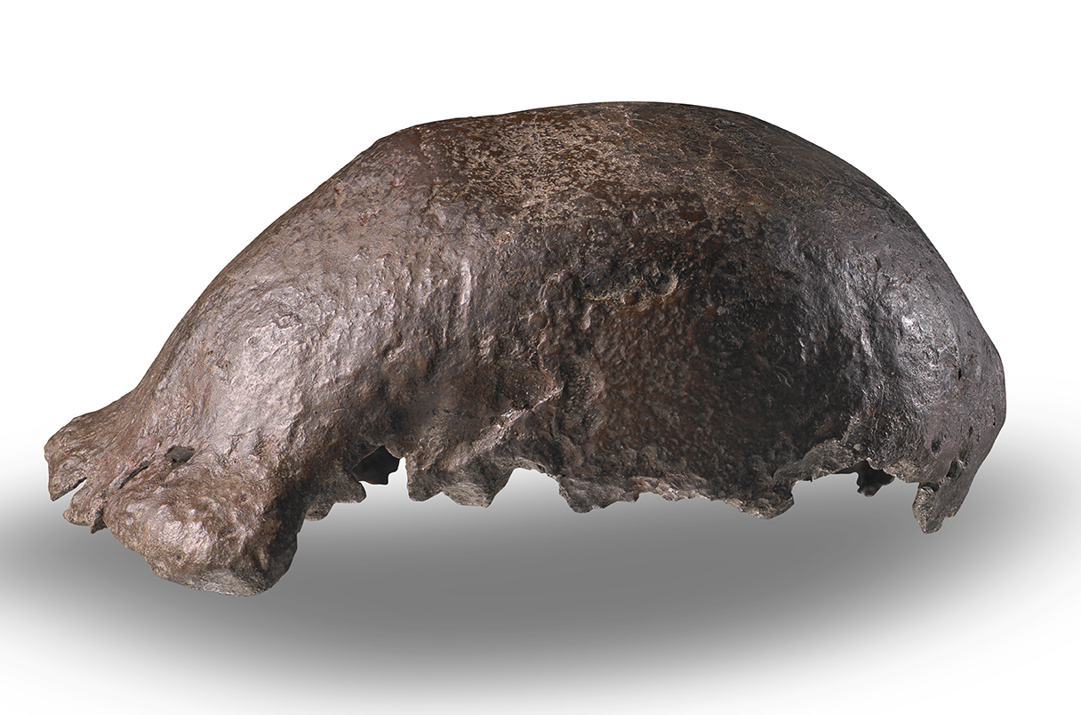 צͷǹǻʯ2.8Ʒɺ黹ǰֳӡ