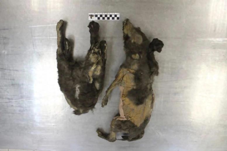 1.4����ǰ������ġ���Ȯ����ʵ����