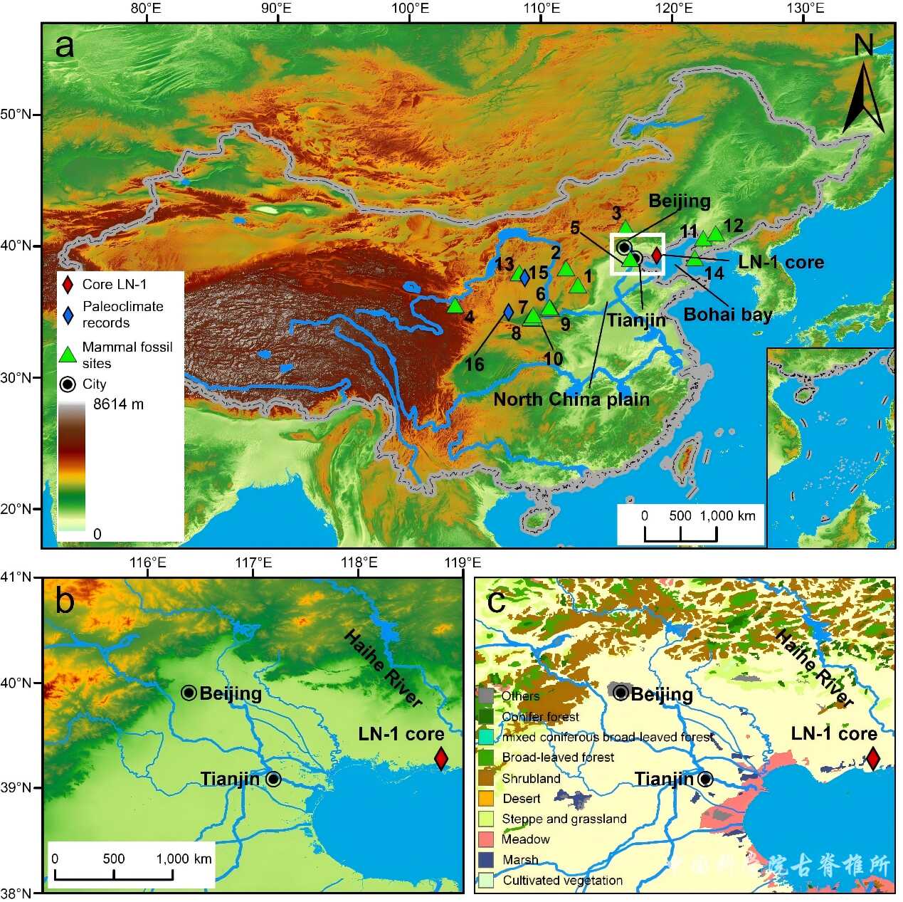 ���������������й����������ؽ��Ͳ��鶯��Ⱥ����