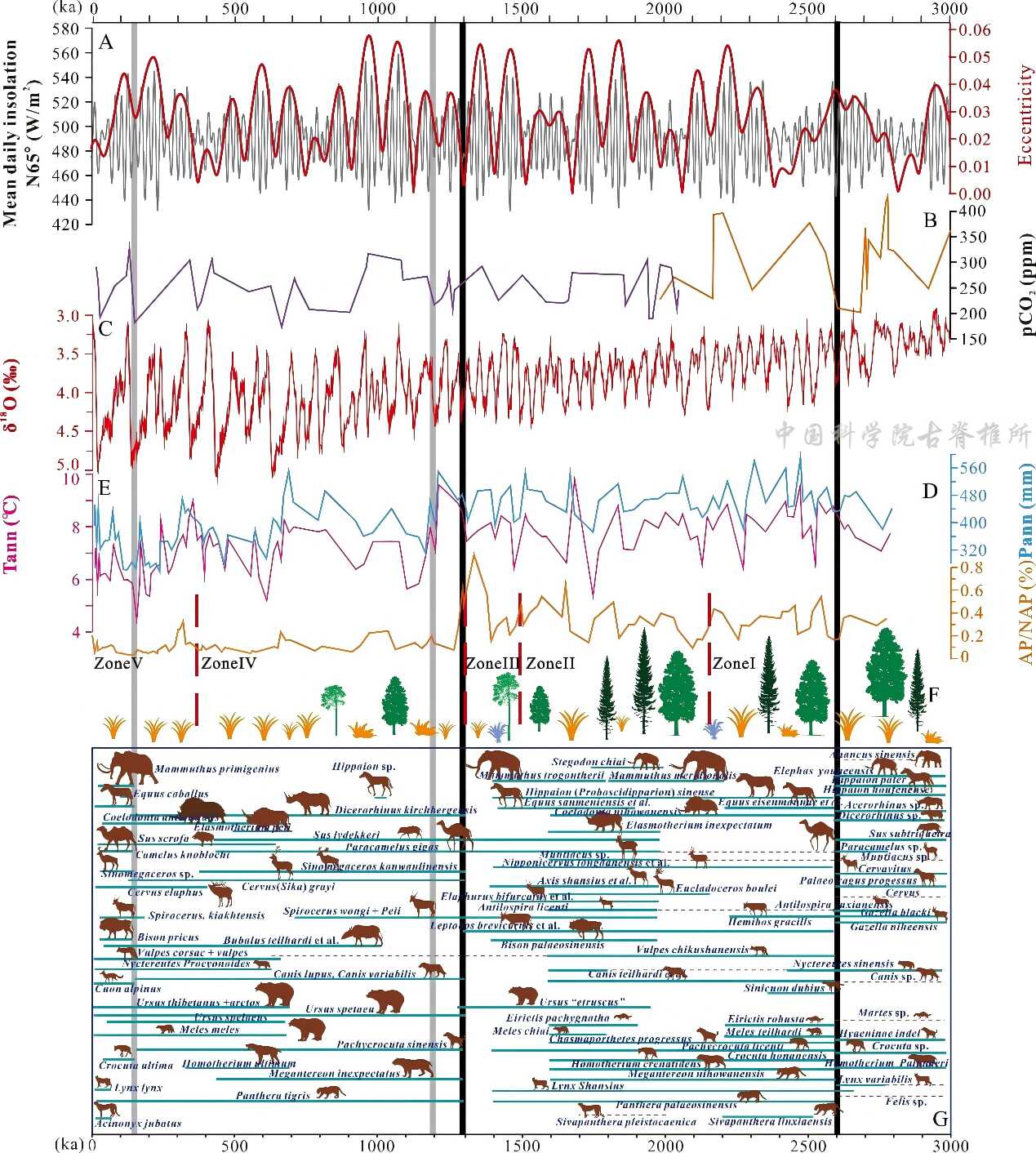 ���������������й����������ؽ��Ͳ��鶯��Ⱥ����