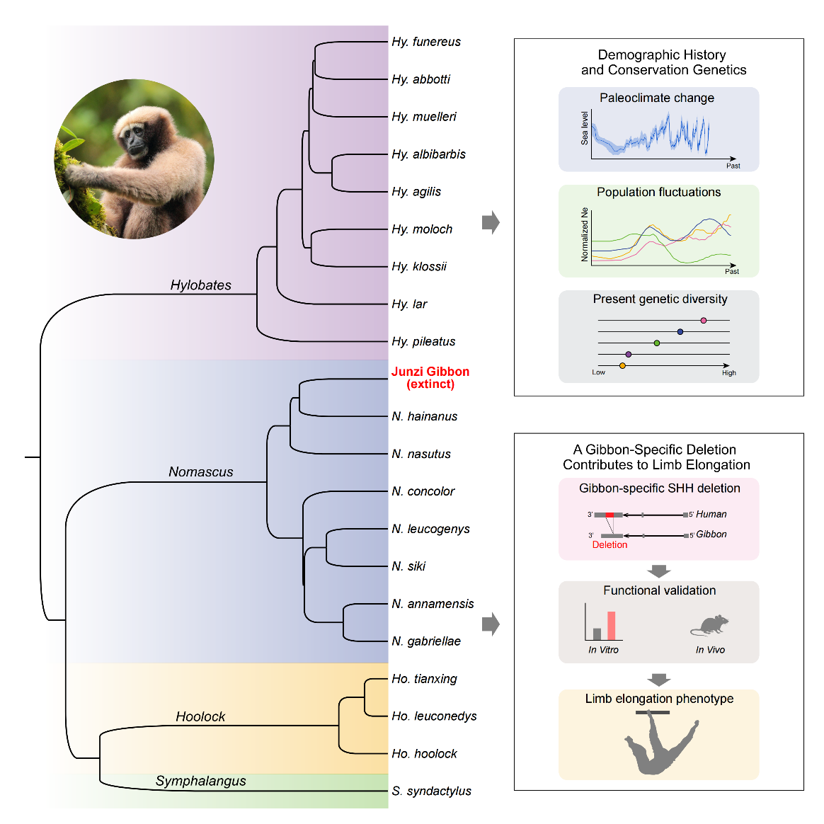 �鳤�������ƻ��½�չ������Գ�������ʾ��ϵͳ�ݻ���ϵ����Σ��ʷ�볤��֮��