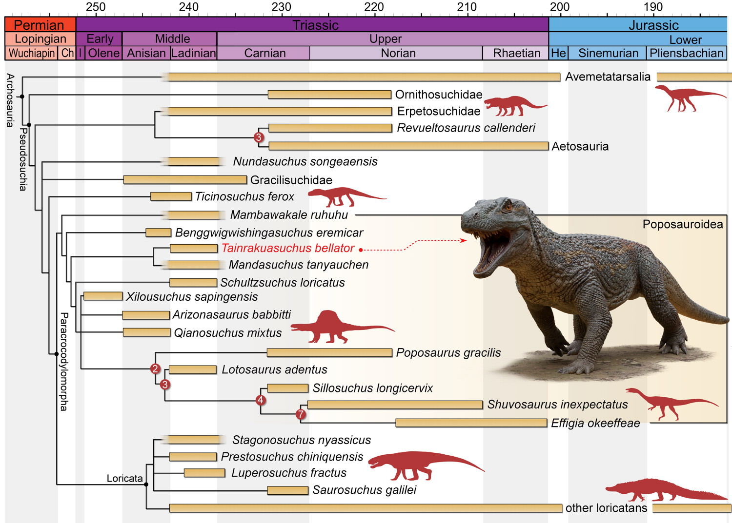 ��ʳ���������ǰ�������������������ڿ���֮ǰ��������������������