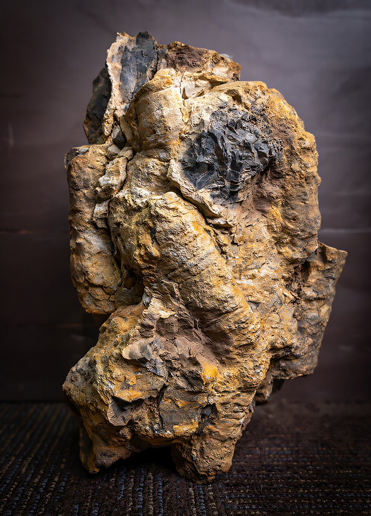 在爱达荷州地下发现的古代“海绵草甸”,告诉我们关于史前海洋的信息