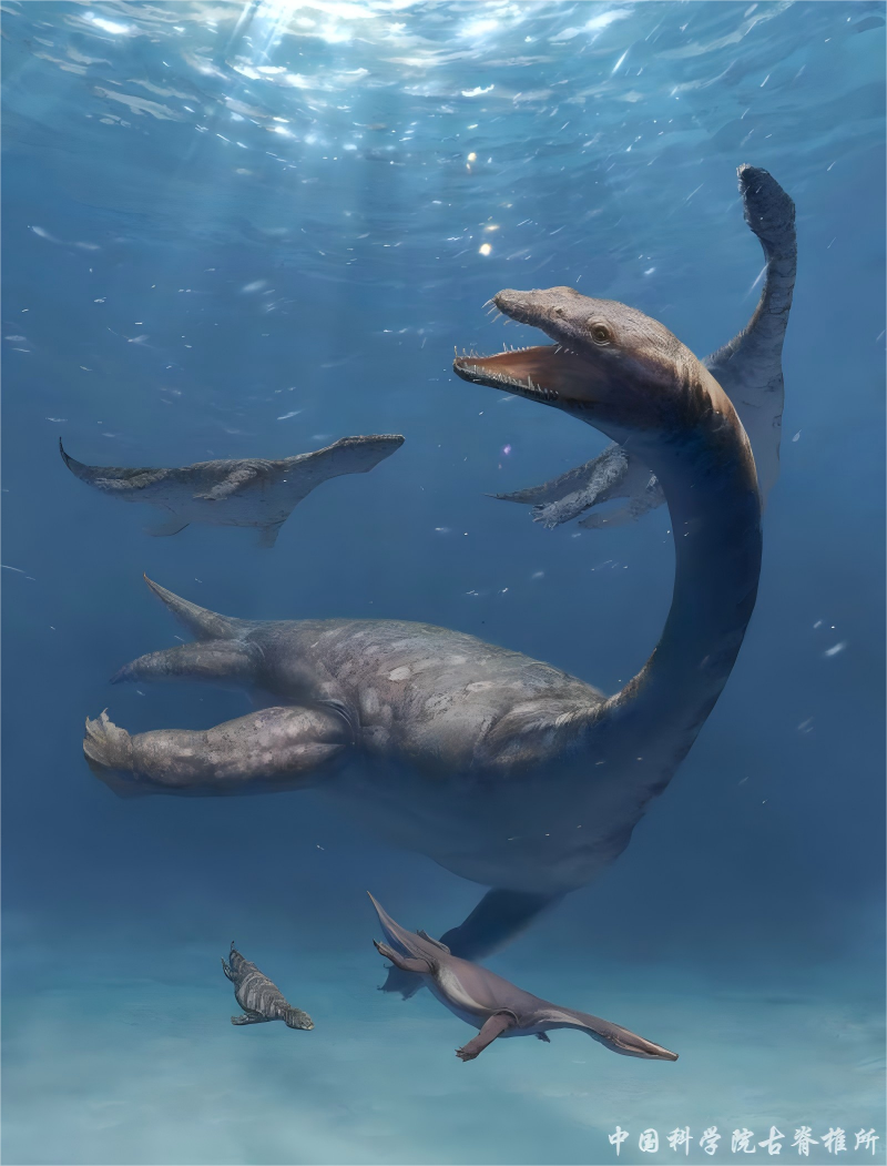 ��ʤ������������ӵ�г���������������