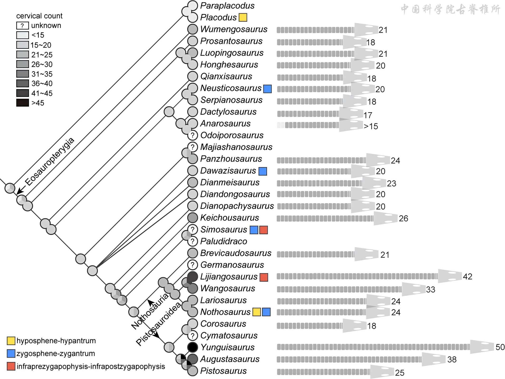 ��ʤ������������ӵ�г���������������