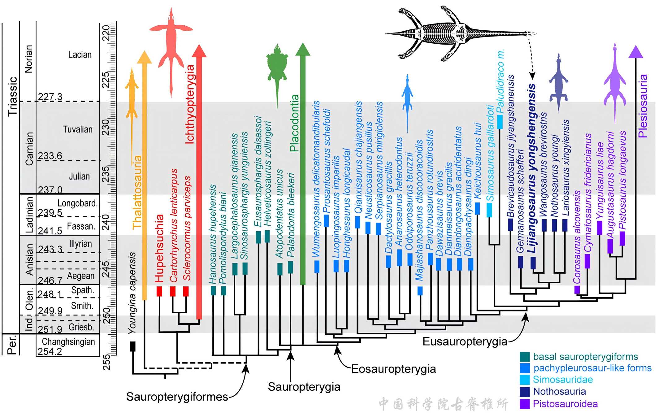 ��ʤ������������ӵ�г���������������