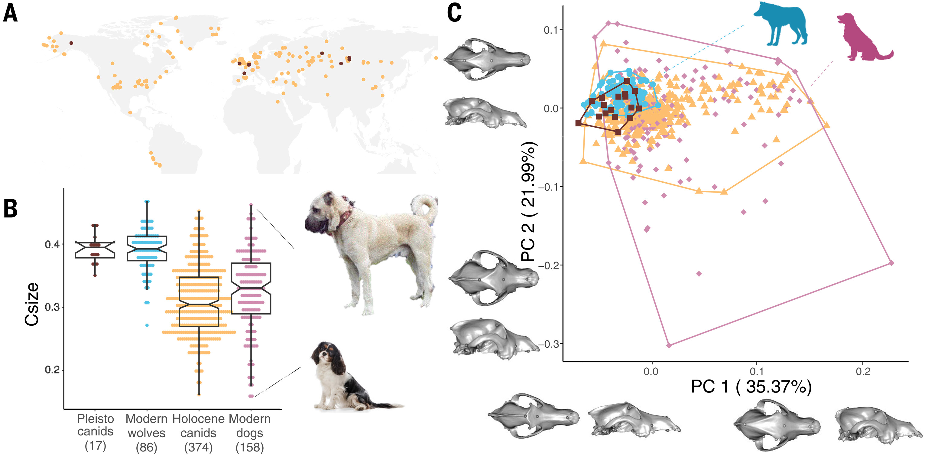 ��Ȯ�Ķ����Ҷ��ص���̬���������1�����ǰ