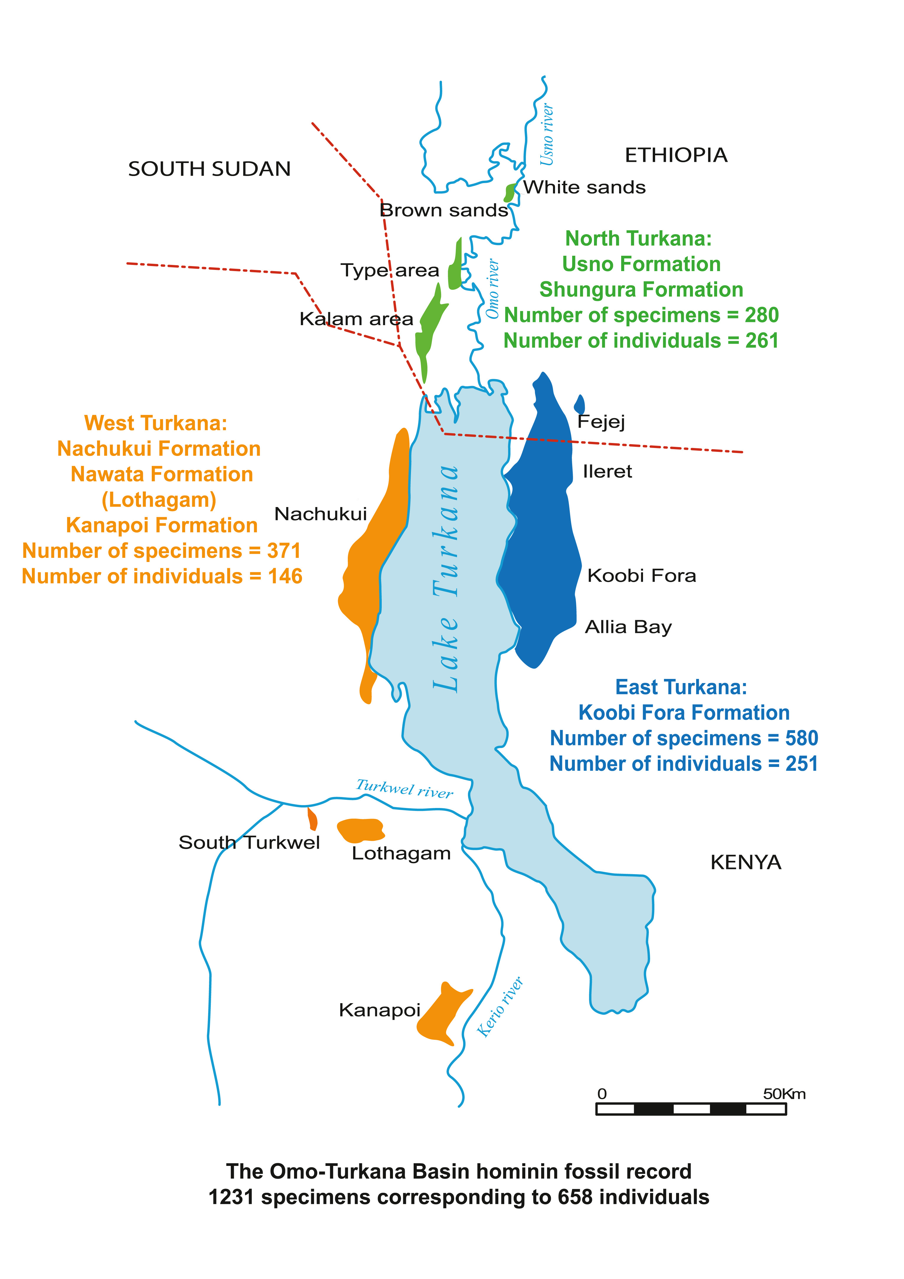 奥莫-图尔卡纳盆地化石目录帮助拼凑早期古人类记录