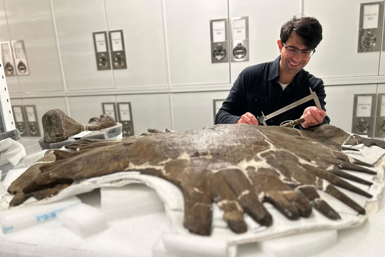 Ϊʲô��������һЩ�����ط�ˮ�У�