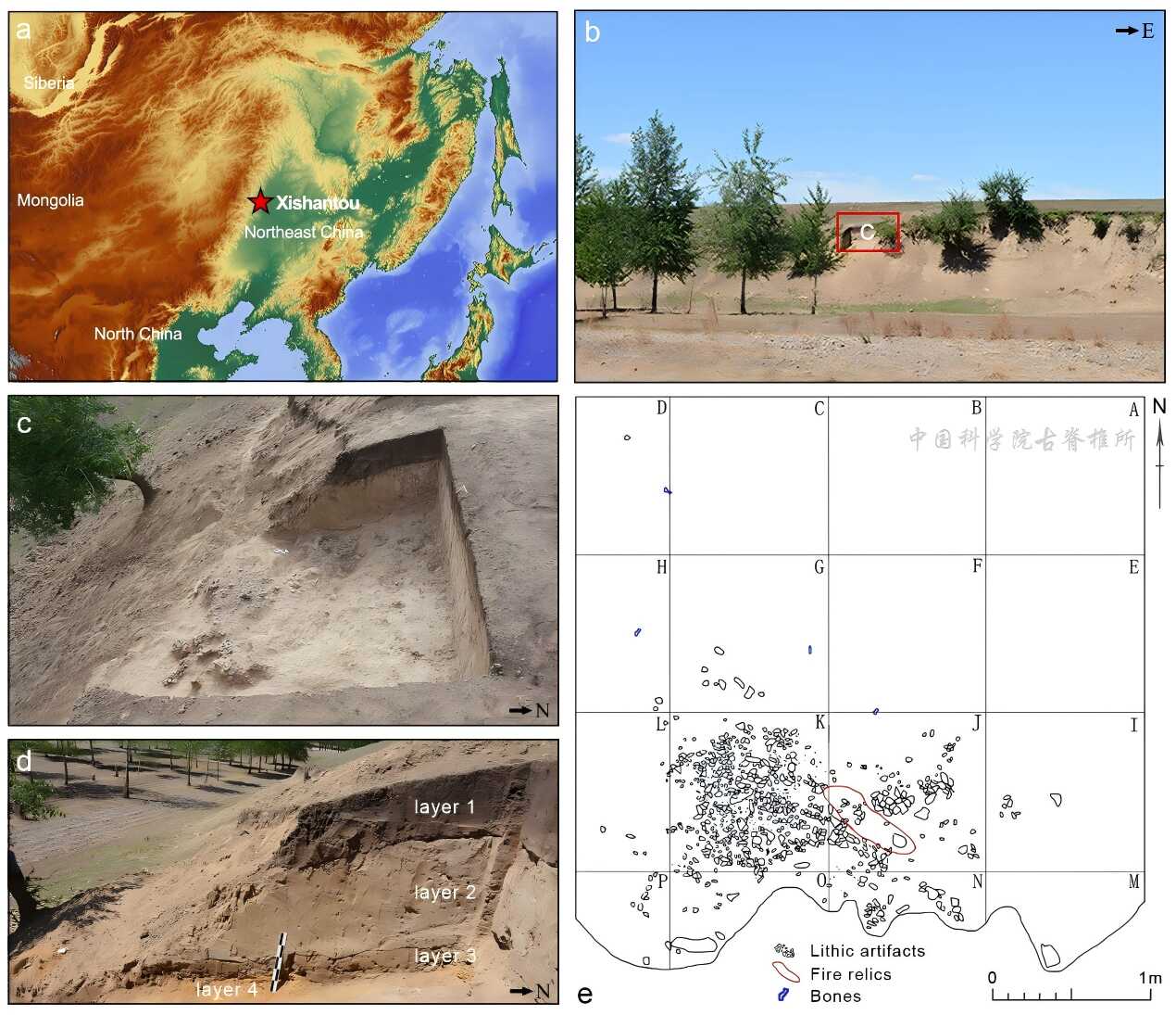 �й�����2.8����ǰϸʯҶ֤�ݽ�ʾ���������µ���ȺǨ���뼼������