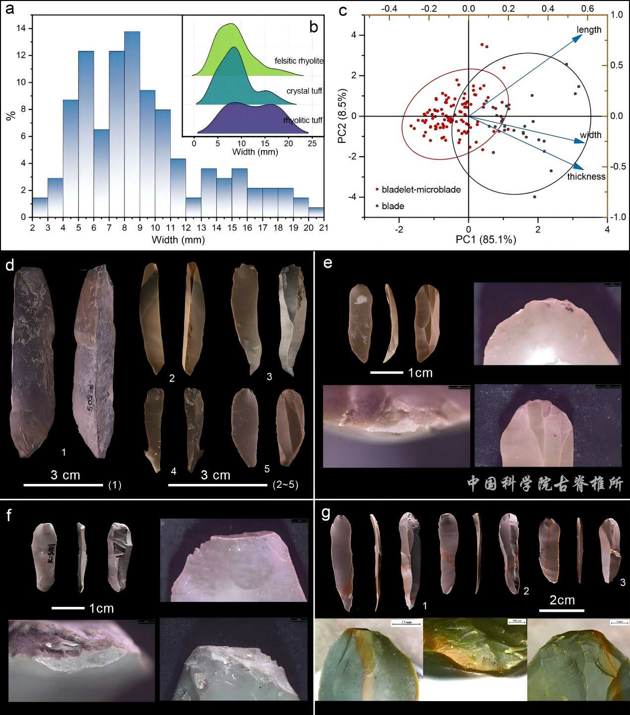 �й�����2.8����ǰϸʯҶ֤�ݽ�ʾ���������µ���ȺǨ���뼼������