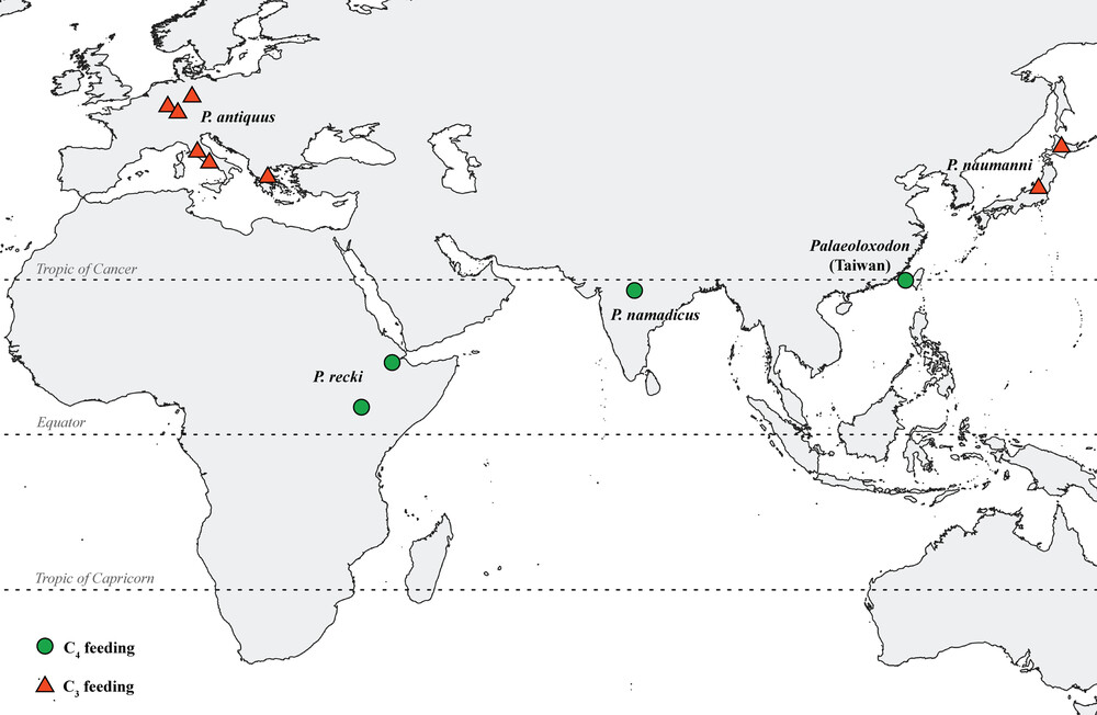 žݽ¶ ̨庣ϿڱΪԭ