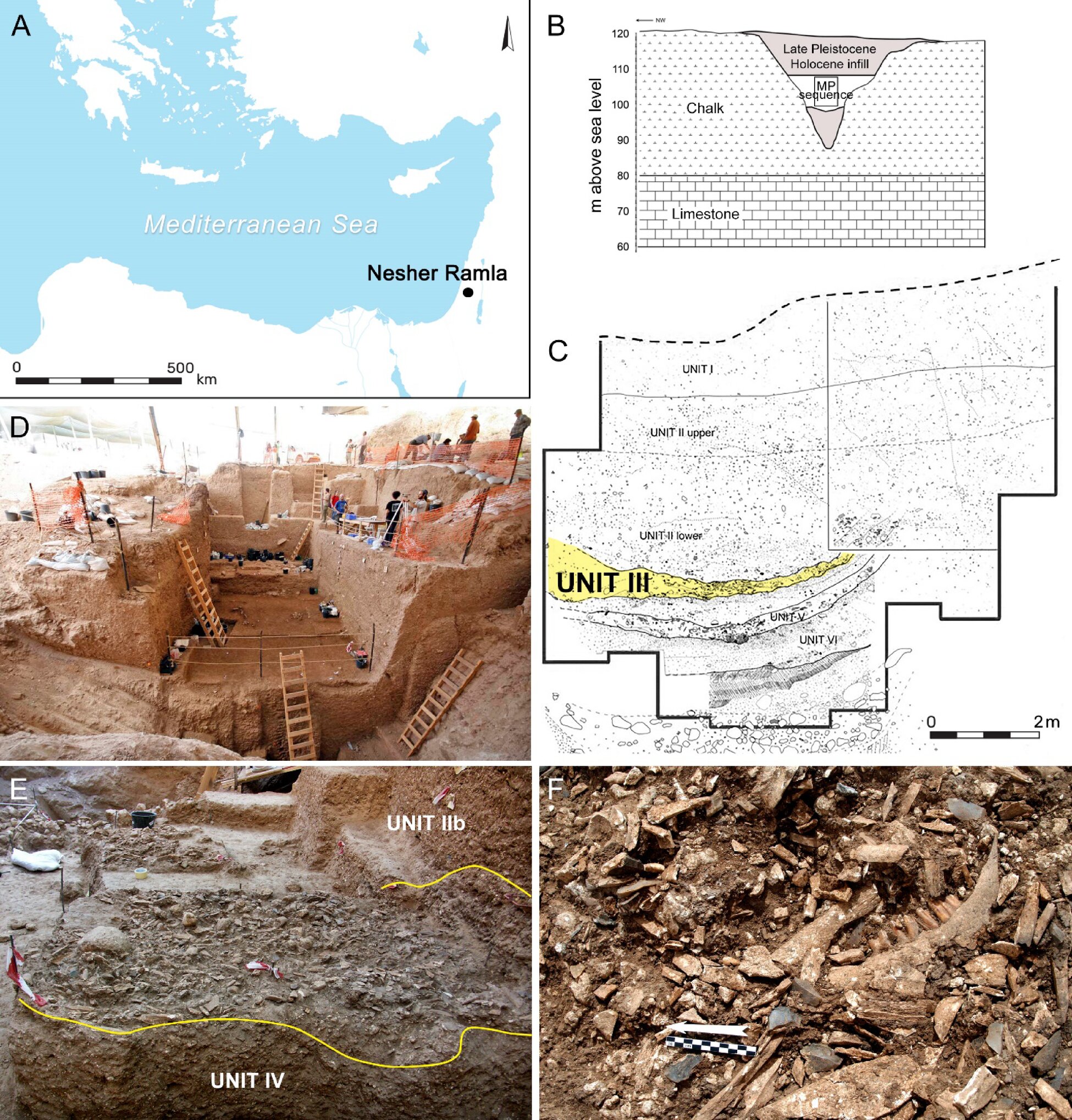 古代人类不成群狩猎——这或许能解释为什么我们的物种比他们活得更久