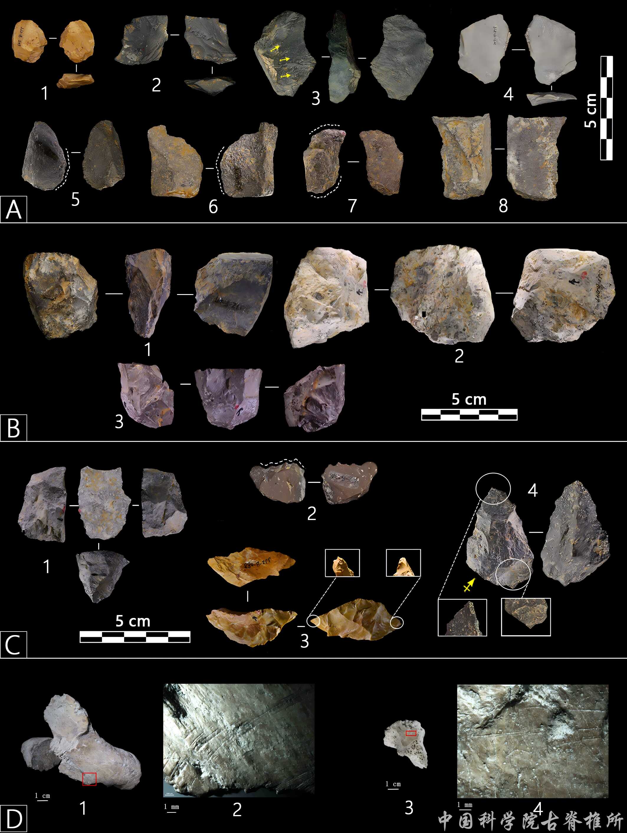 ��ָ���ʾ��������������������ò�����ݱ���������Ӧ����