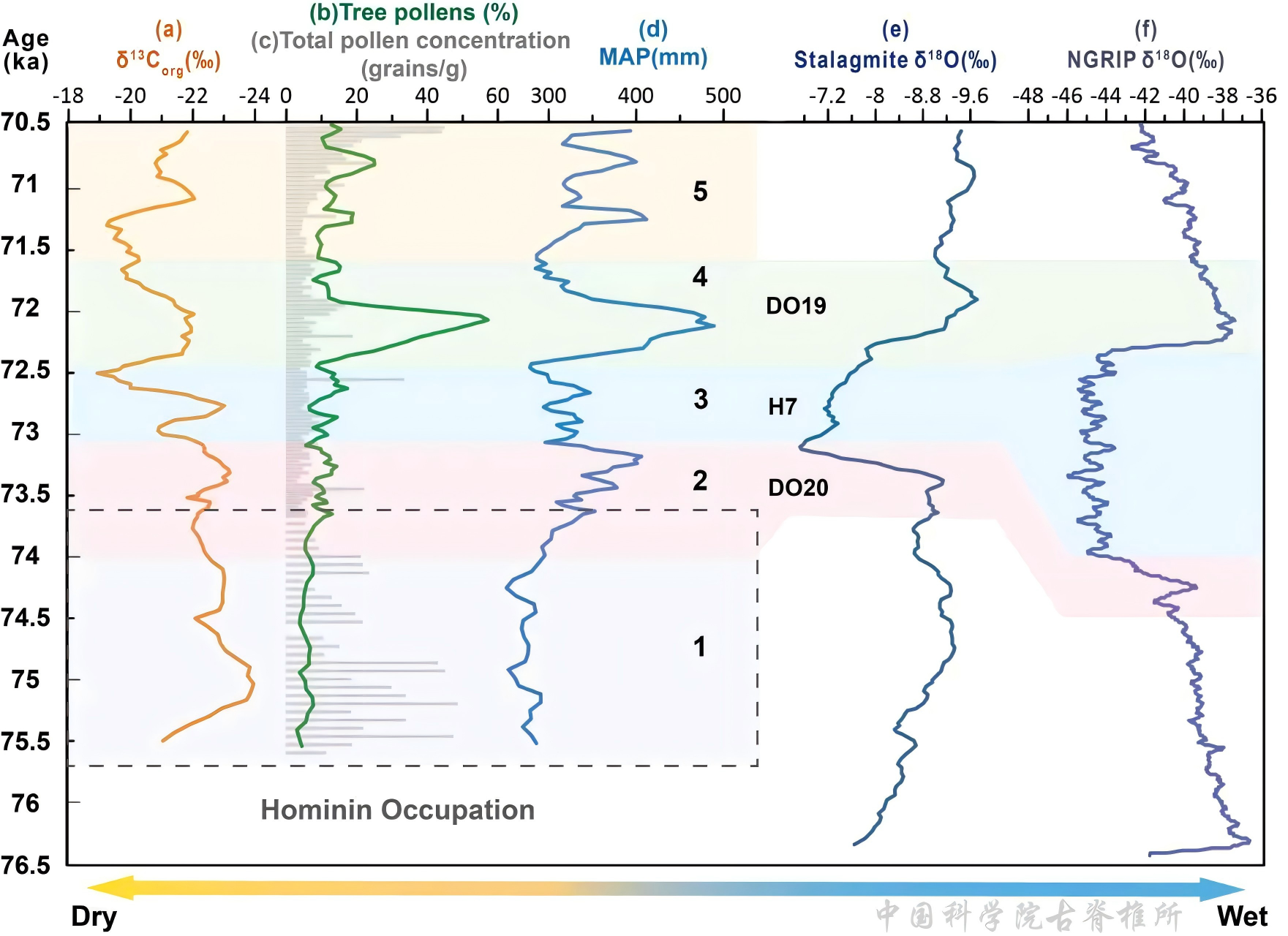 ��ָ���ʾ��������������������ò�����ݱ���������Ӧ����