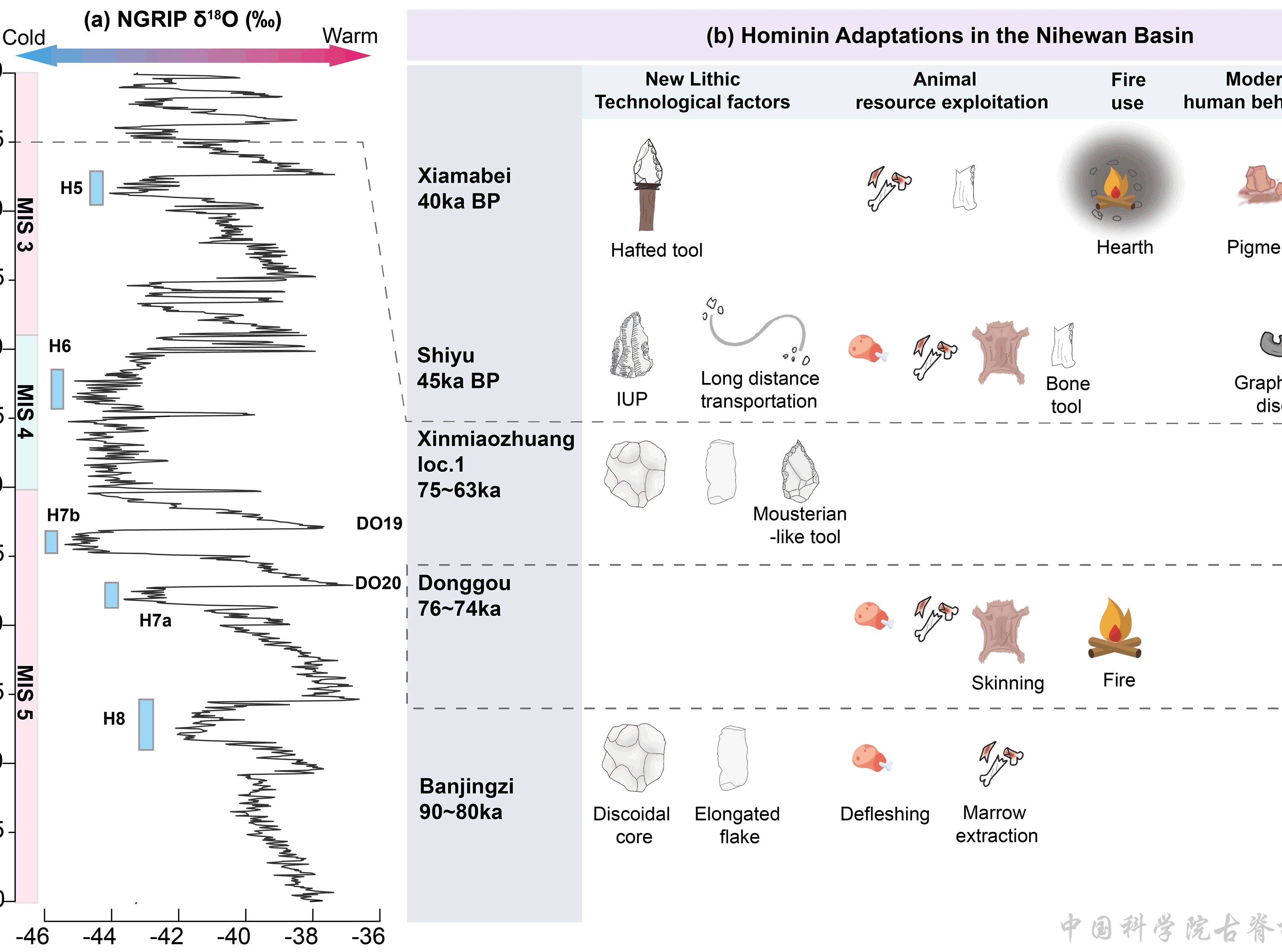 ��ָ���ʾ��������������������ò�����ݱ���������Ӧ����