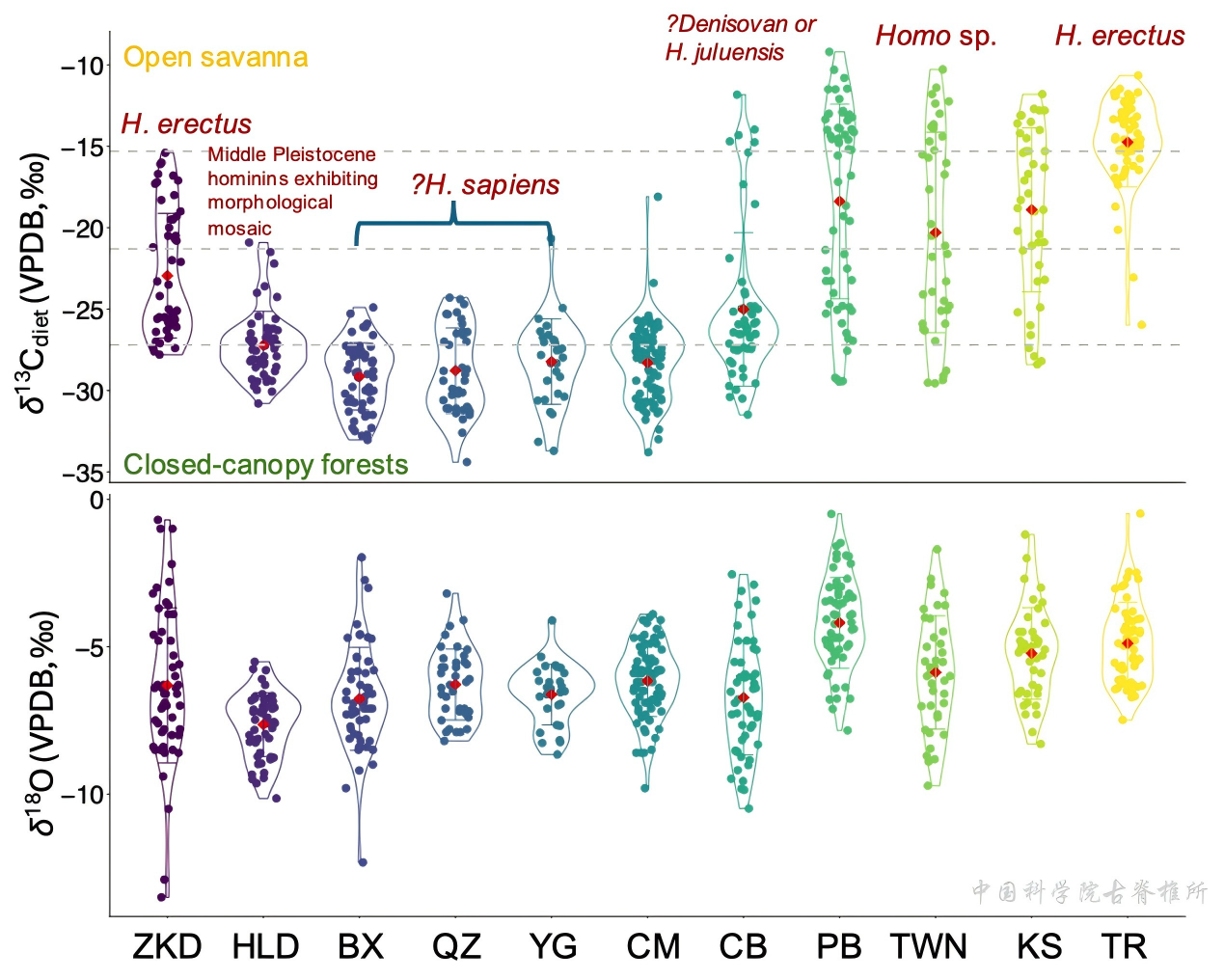 �ȶ�ͬλ���о���ʾ����������������滷������Ӧ����