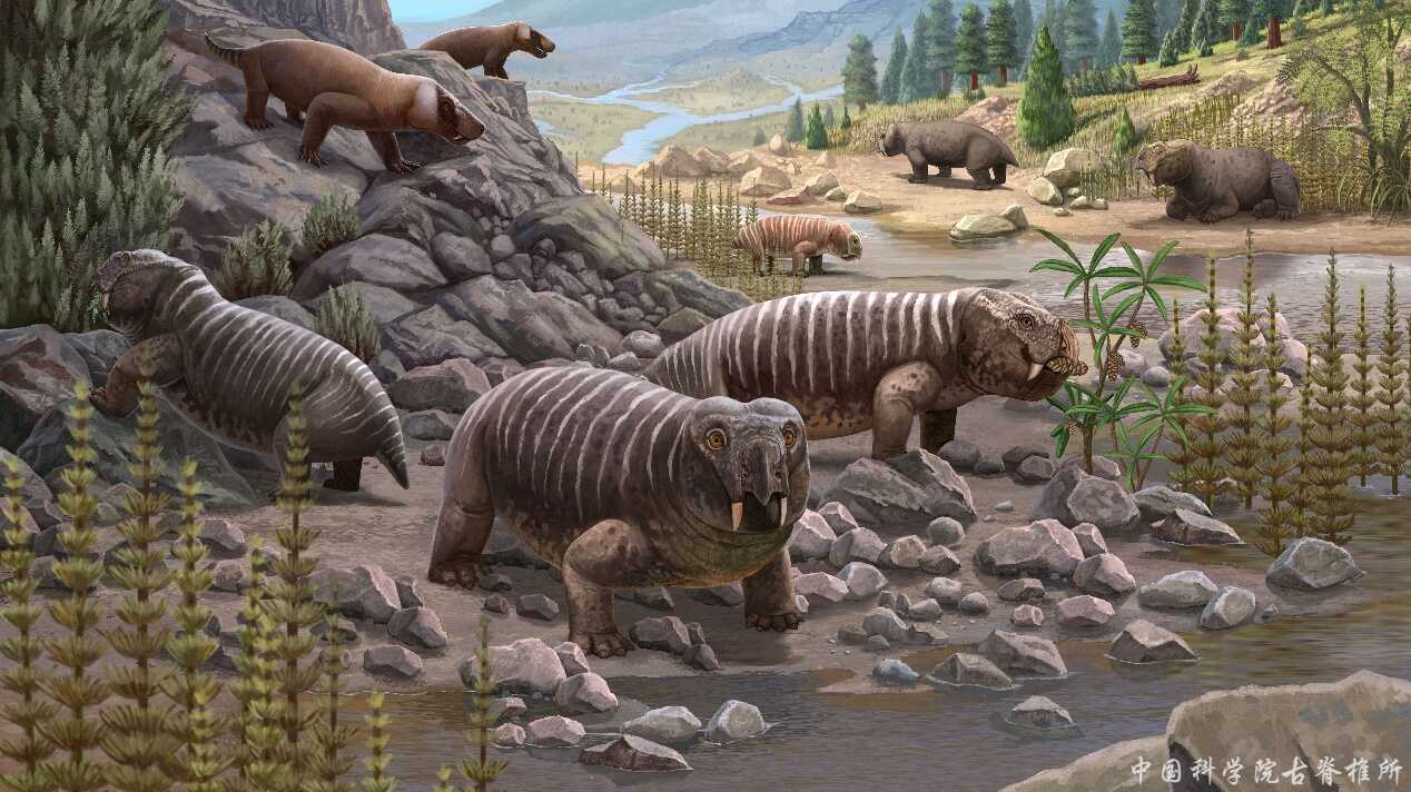 �ɺ����ǡ���ǵ�������෢�ֶ��������ָ�д�ϱ������ｻ��ʷ