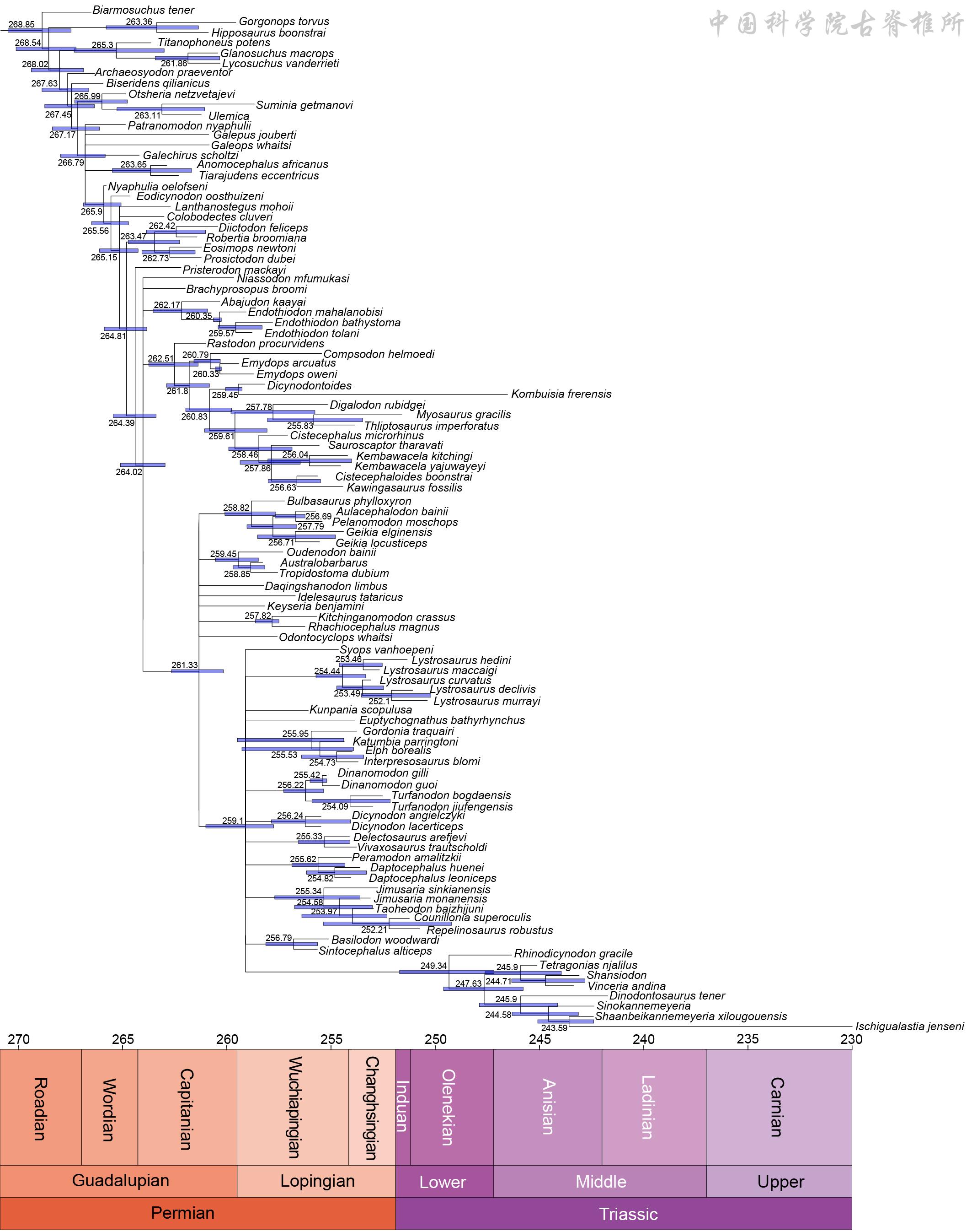 �ɺ����ǡ���ǵ�������෢�ֶ��������ָ�д�ϱ������ｻ��ʷ