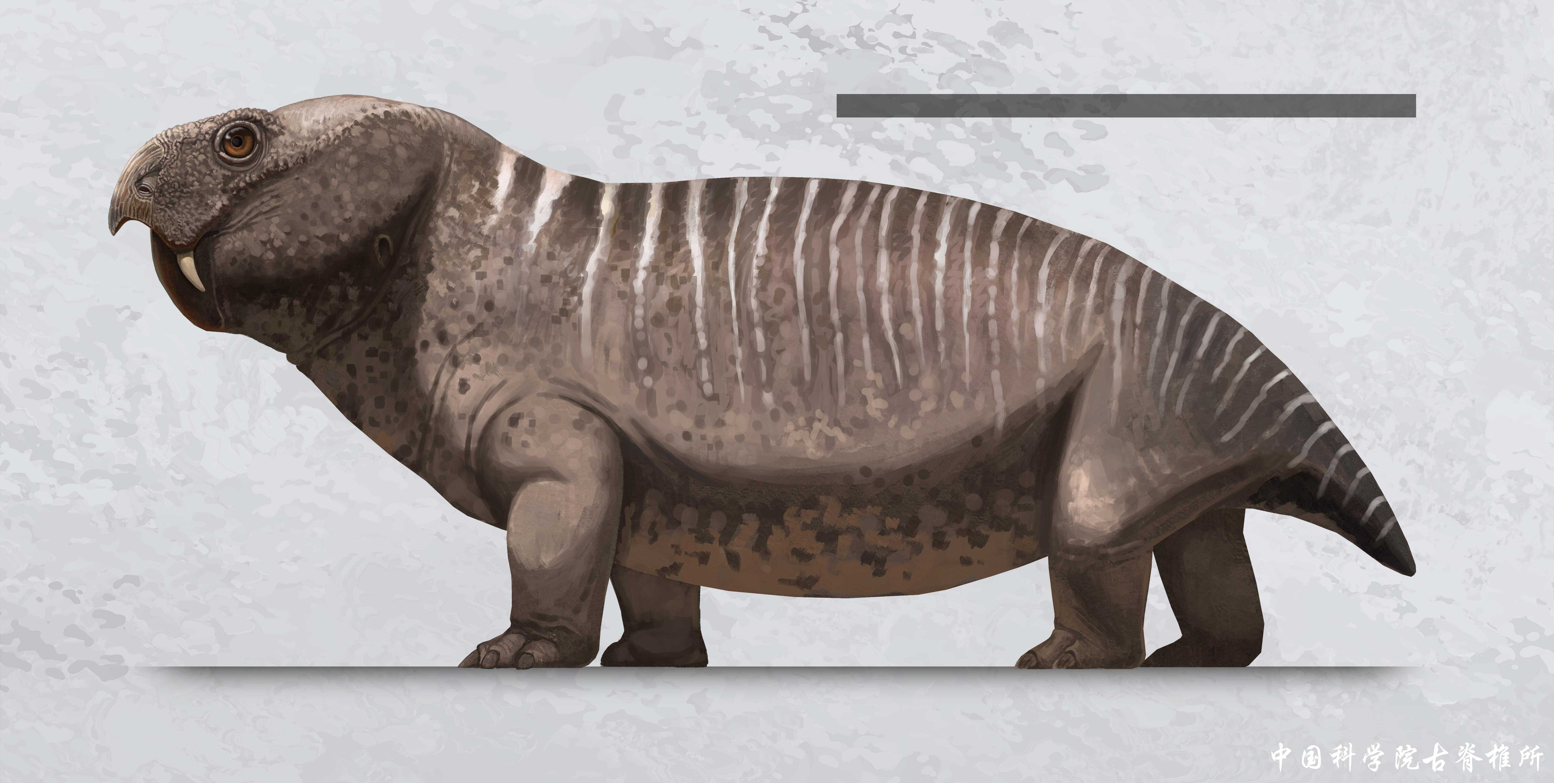 �ɺ����ǡ���ǵ�������෢�ֶ��������ָ�д�ϱ������ｻ��ʷ