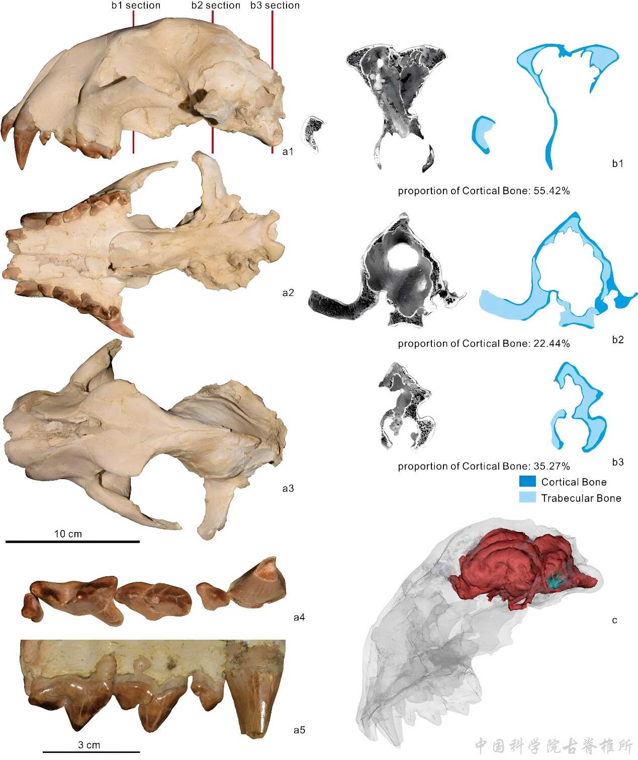 ���Ƿ�����è������̬���ͽ�ʾʳ��Ŀ������̬λ��̽��