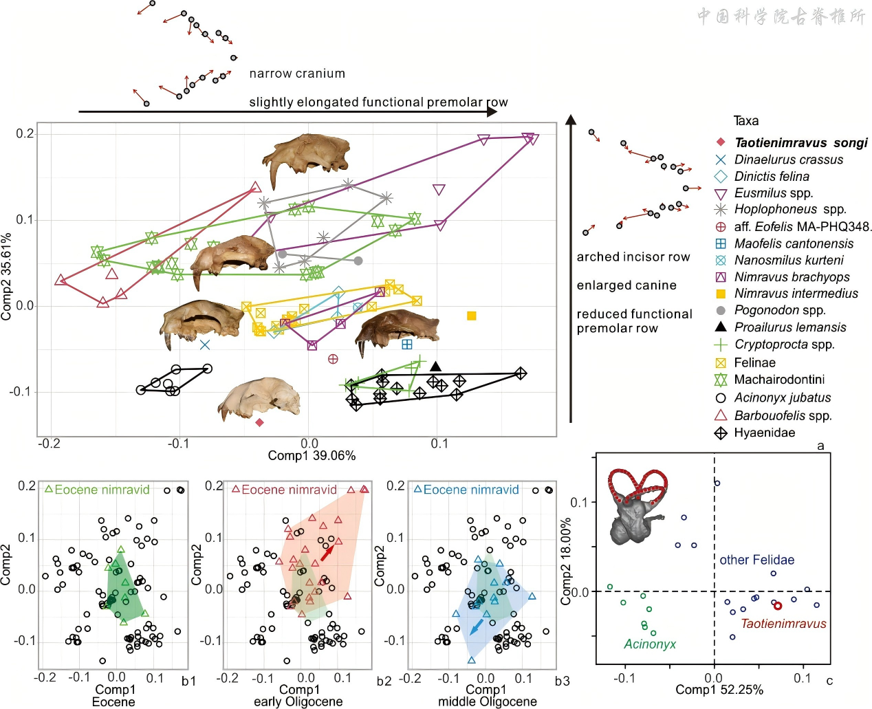 ���Ƿ�����è������̬���ͽ�ʾʳ��Ŀ������̬λ��̽��