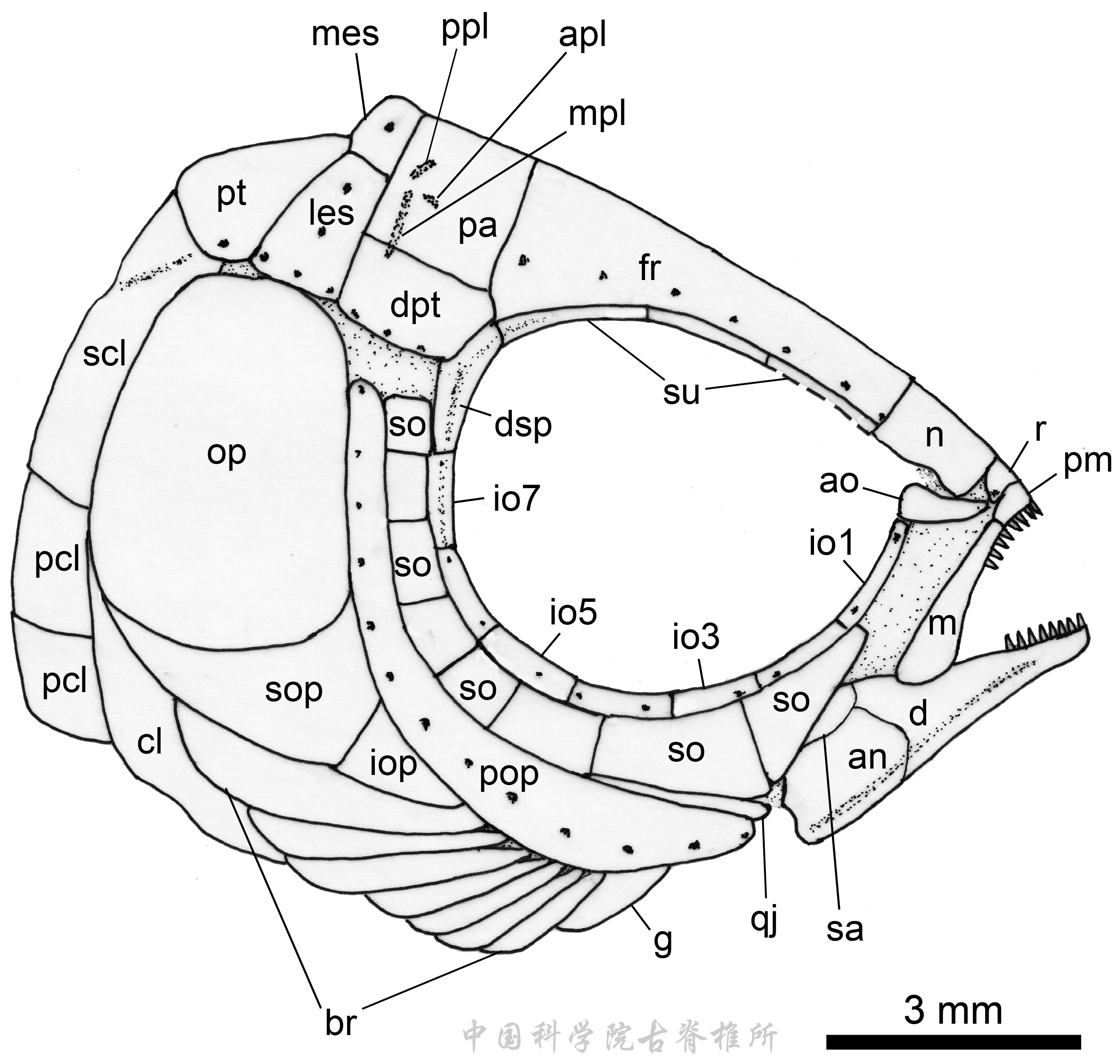 С���ݶ����㣺��ƽ�������Դʱ����ǰ�ƽ�2500����
