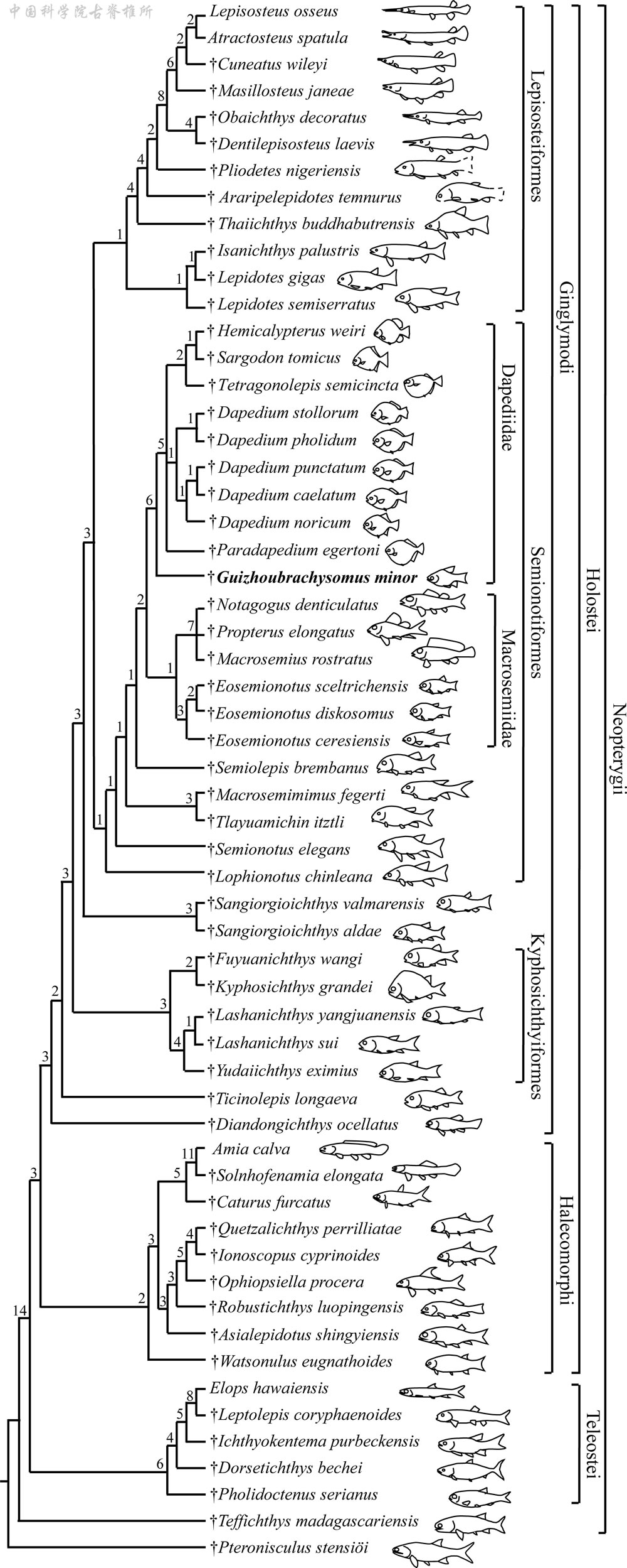 С���ݶ����㣺��ƽ�������Դʱ����ǰ�ƽ�2500����