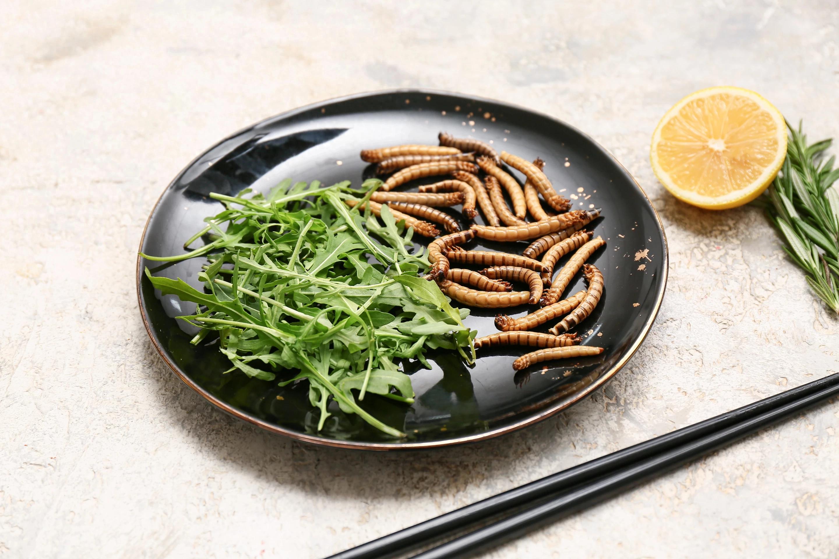 �ᰲ�����˲���ֻ���⣬����Ҳ������