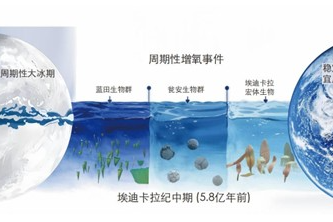 ���о���ʾ���ڶ���ǰ���������������Ի���