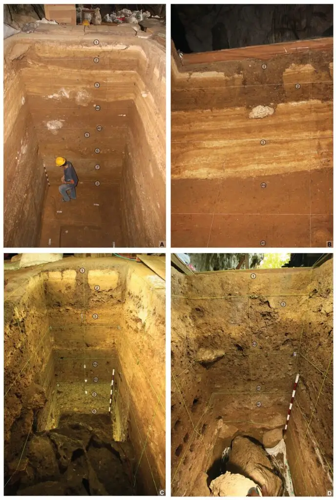 在印度尼西亚发掘的考古学家可能找到了两种人类物种相会的确切地点