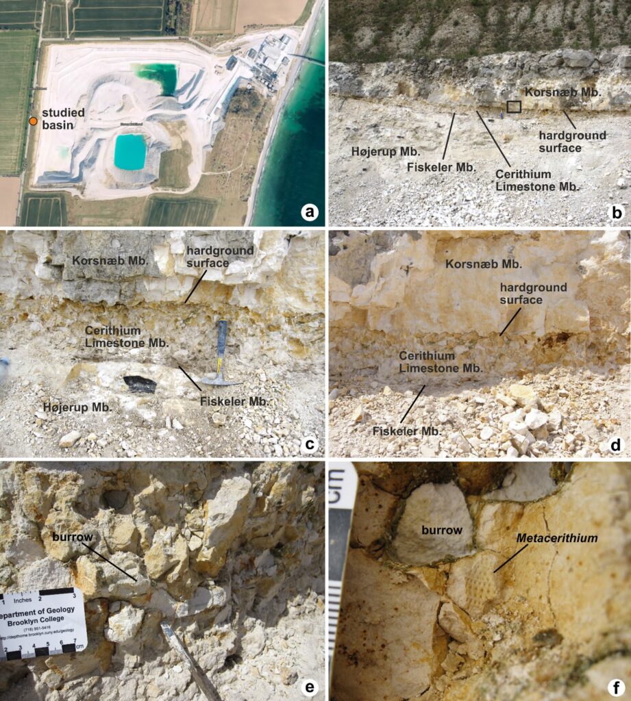 科学家发现神秘证据:某些生物在小行星毁灭恐龙后幸存下来