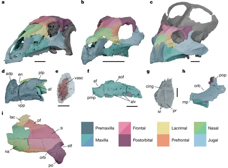 ŷ���нǿ���ʧ��֮�����ڽ⿪