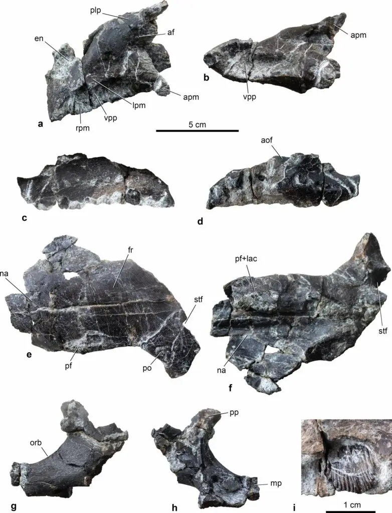 ŷ���нǿ���ʧ��֮�����ڽ⿪