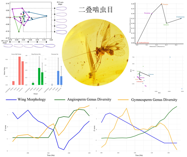 ��������¼�µ�������Ӧ��Σ����������ʷʫ