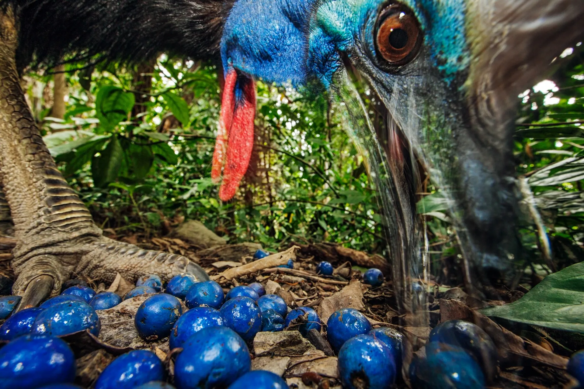 ���֡������С�ʮ��ľ���ʳ�𼦡����������������Σ�յ�������