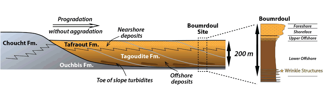 ���������ļ�����������벻���ĵط�