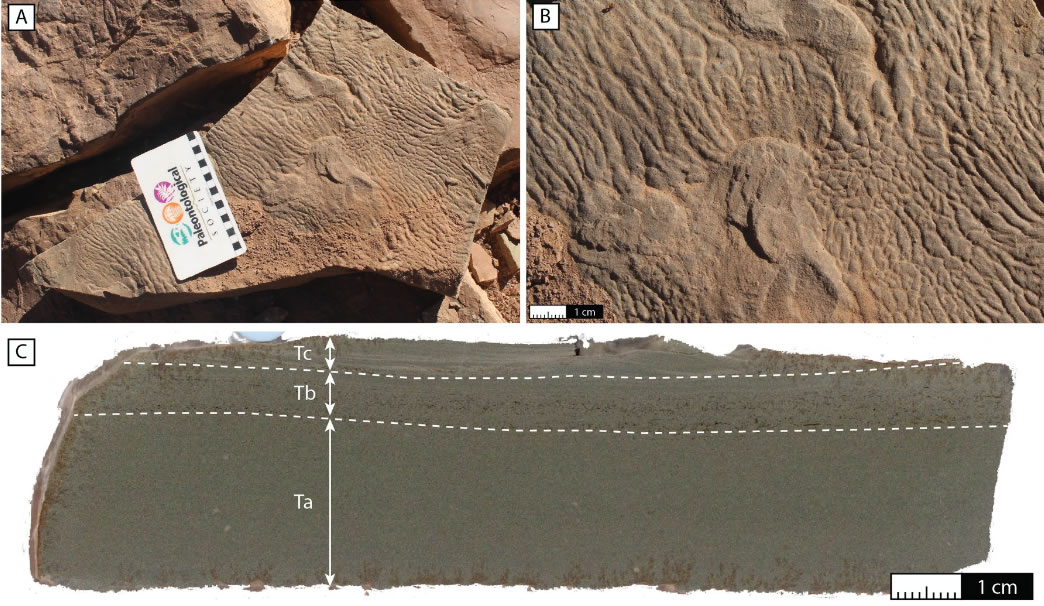 ���������ļ�����������벻���ĵط�