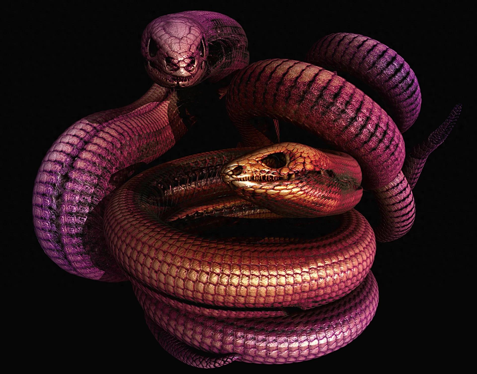 �о��������桰���족Ƥ�¹Ǽ� ��ζ��������߸������˵ ​