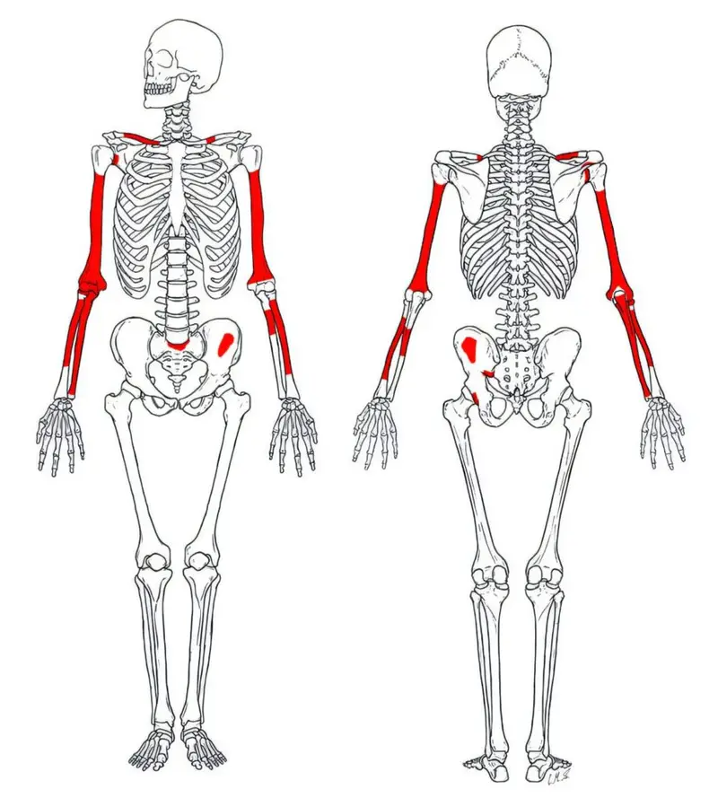 ��ѧ���������ҵ���������������׽����������׵�����