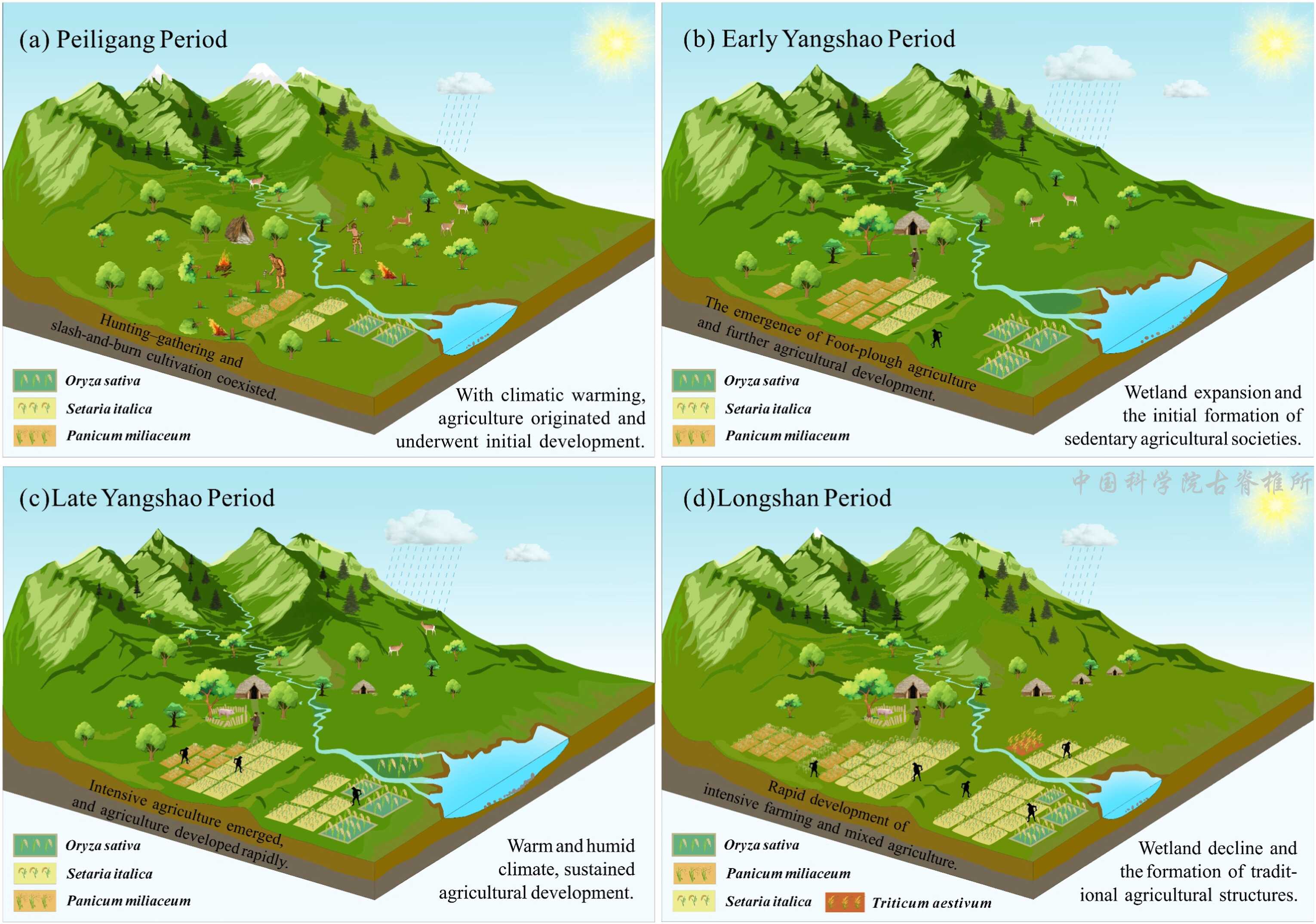 ʷǰũҵ���������������ƽԭũҵ�ݻ�������ɺ��¼���ͬ�����о�