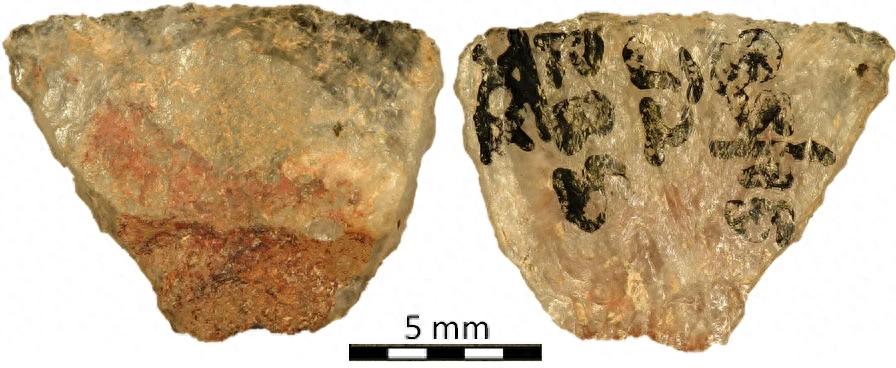 ���������Ϳ����ͷ���� ������ǰʯ��ʱ����������������ֲ�ﶾ��