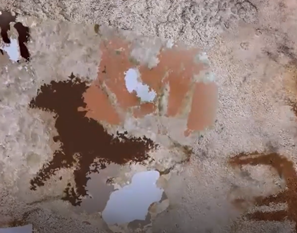 ��ӡ�������Ƕ�Ѩ�з��ֵ���������ϵ��һ�