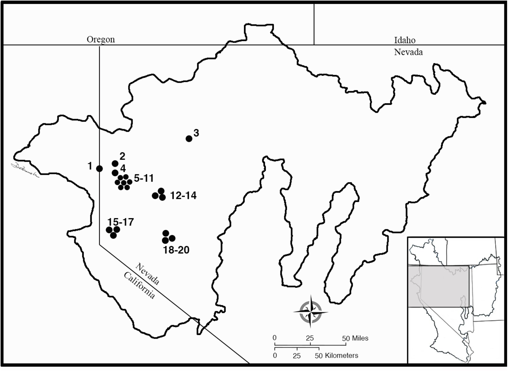 �����ڻ����ݹŴ���Ѩ�����Ტ�����������е�����֮��