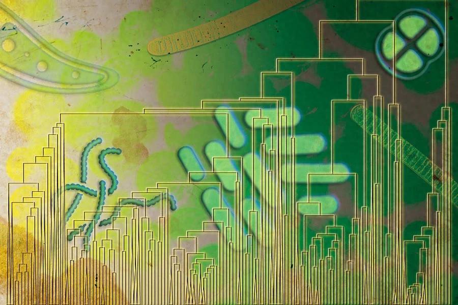 �о���������ѧ�����������ʱ��ȿ�ѧ����������������