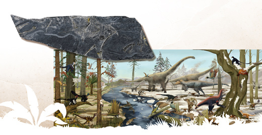 ���������Ƿ�մ�״��ʡ�